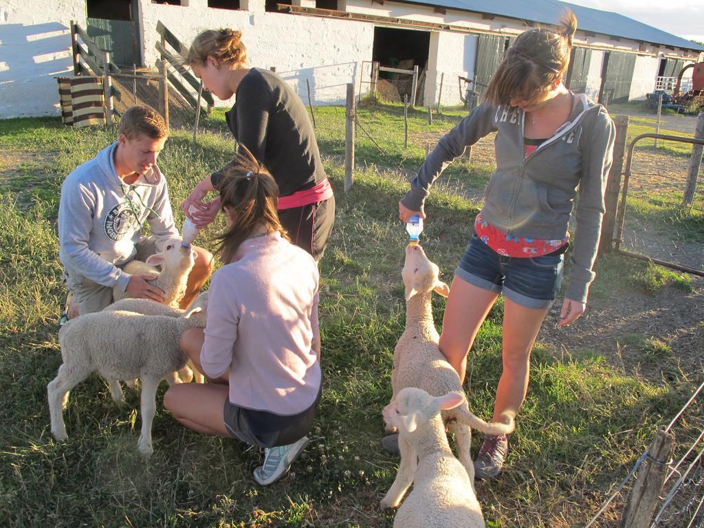 Ganora Guest Farm, Camping And Excursions Nieu-Bethesda Eksteriør billede