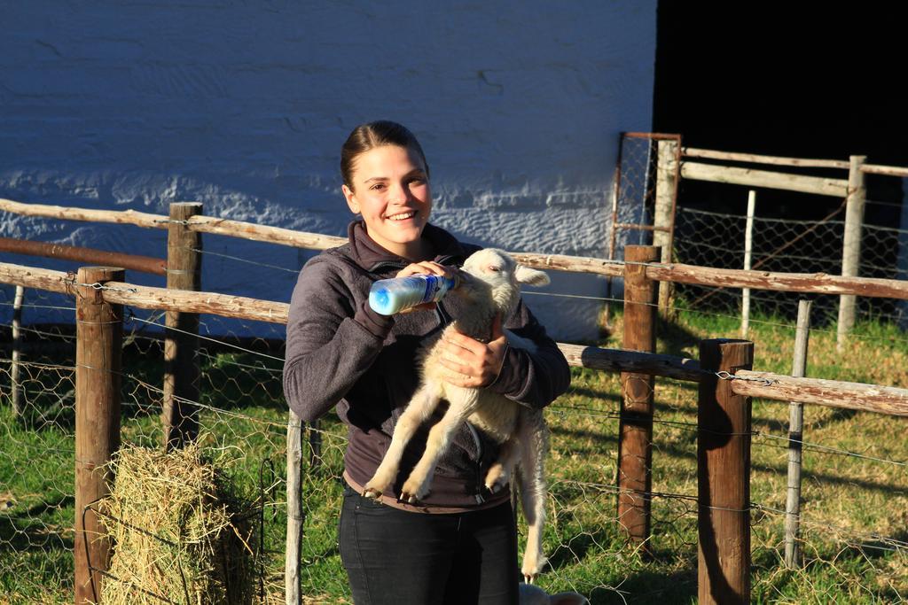 Ganora Guest Farm, Camping And Excursions Nieu-Bethesda Eksteriør billede