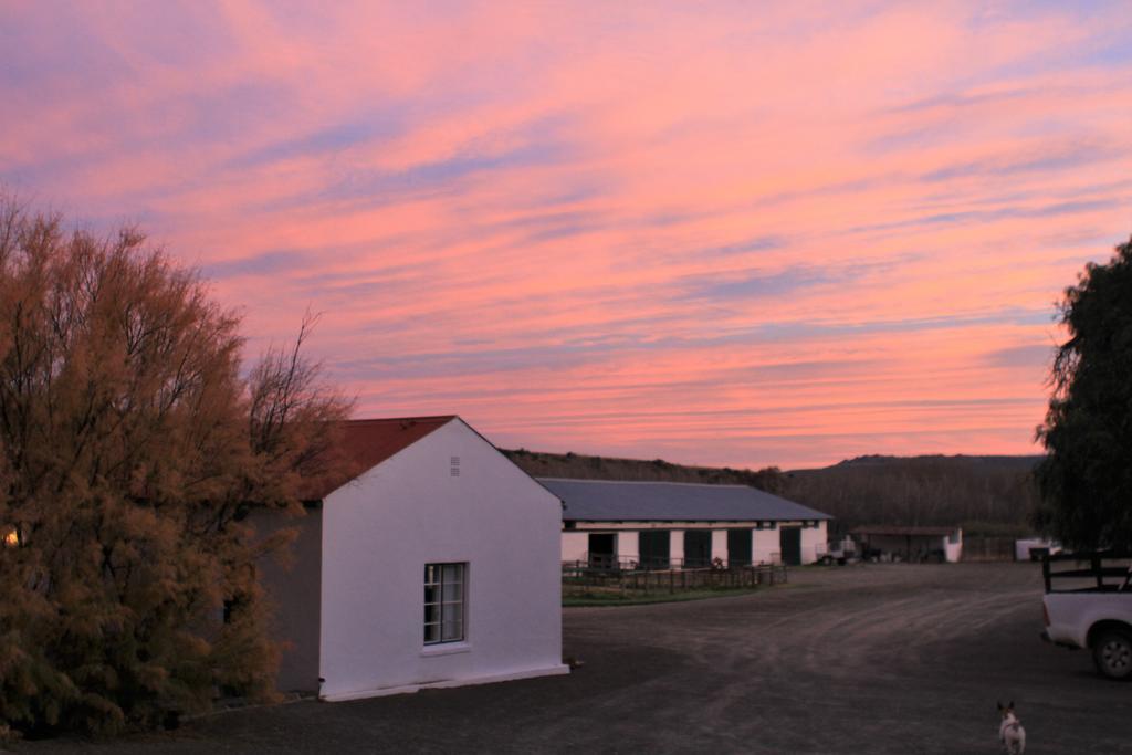Ganora Guest Farm, Camping And Excursions Nieu-Bethesda Eksteriør billede