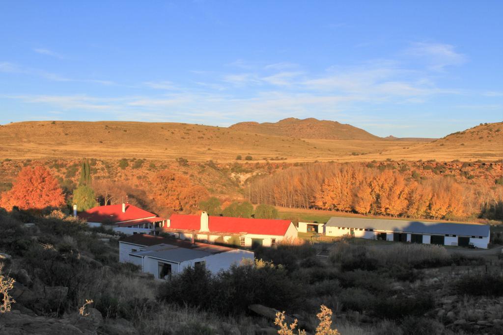 Ganora Guest Farm, Camping And Excursions Nieu-Bethesda Eksteriør billede