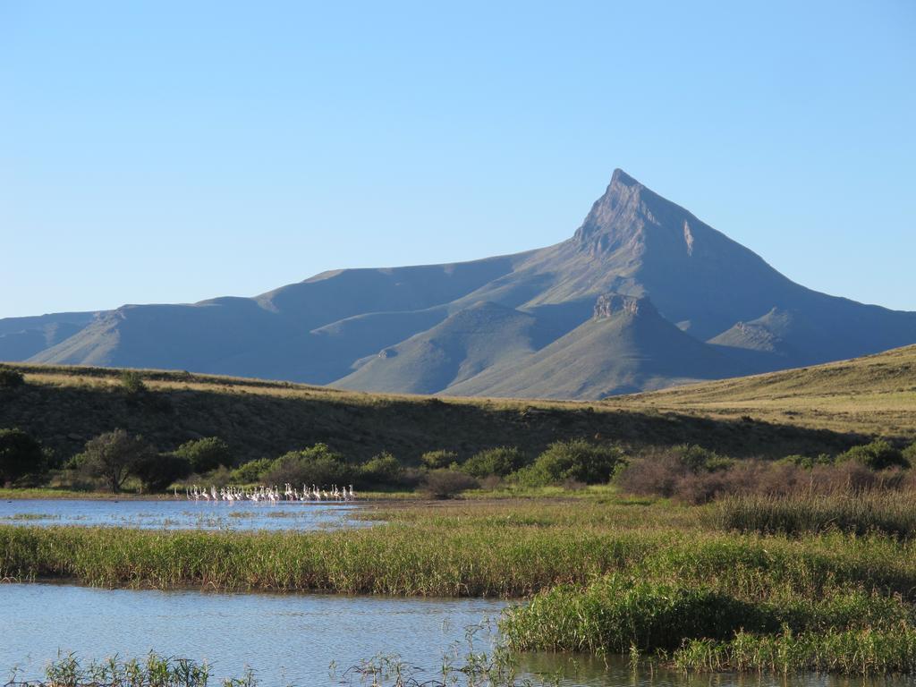 Ganora Guest Farm, Camping And Excursions Nieu-Bethesda Eksteriør billede