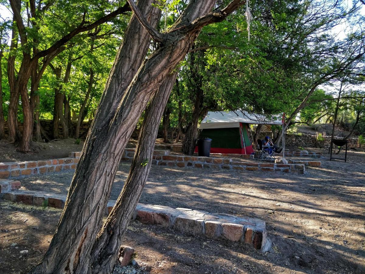 Ganora Guest Farm, Camping And Excursions Nieu-Bethesda Eksteriør billede