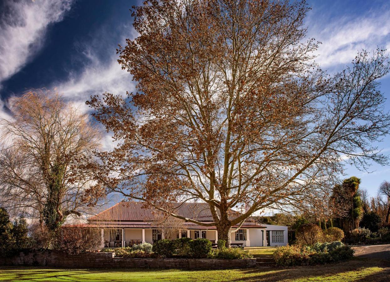 Ganora Guest Farm, Camping And Excursions Nieu-Bethesda Eksteriør billede